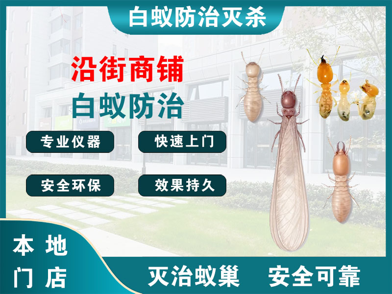 江宁沿街商铺白蚁防治