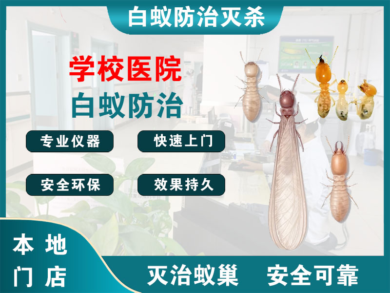 江宁学校医院白蚁防治