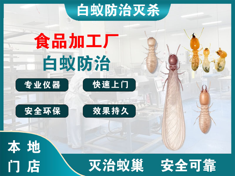 江宁食品加工厂白蚁防治