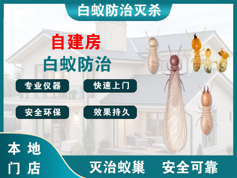 江宁自建房白蚁防治