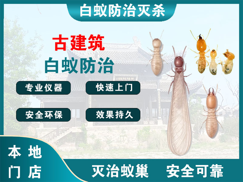 江宁古建筑白蚁防治
