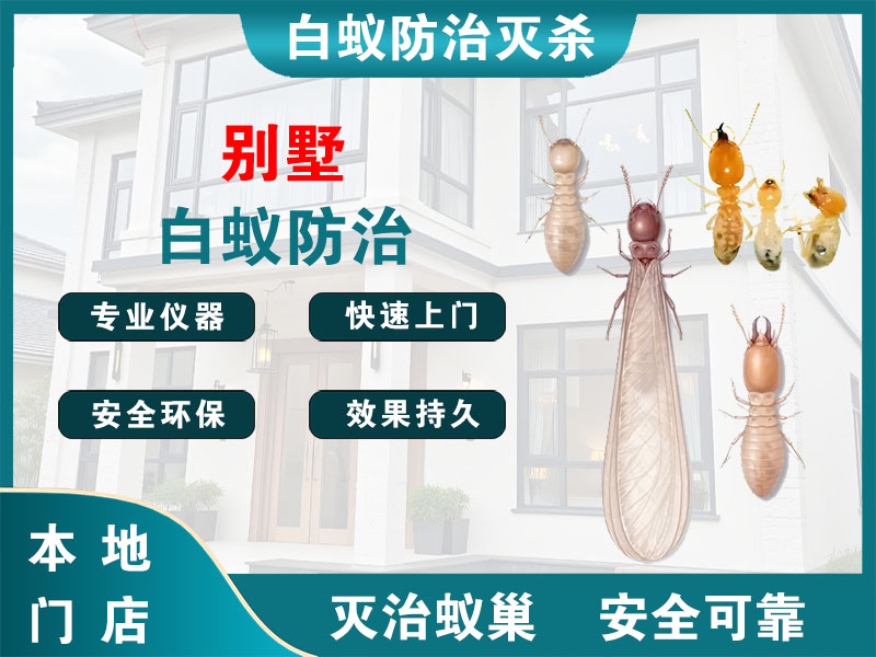 江宁别墅白蚁防治