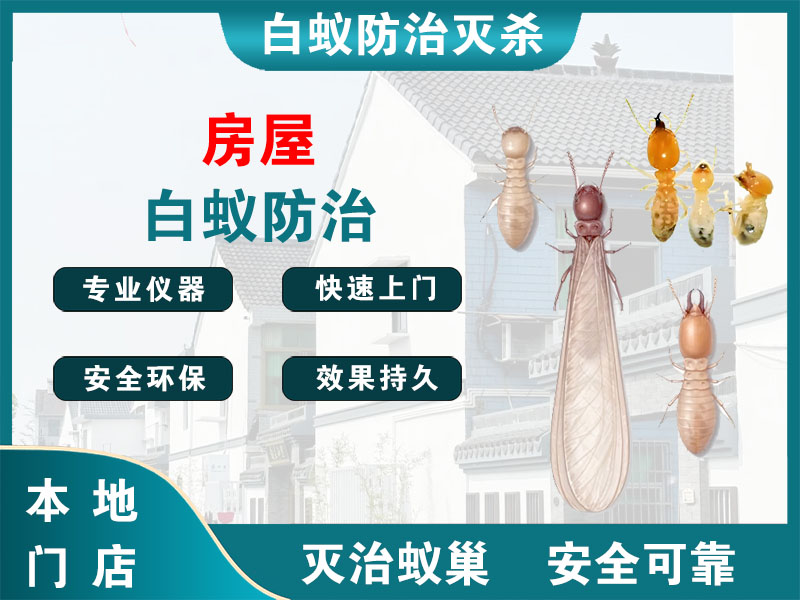 江宁房屋白蚁防治